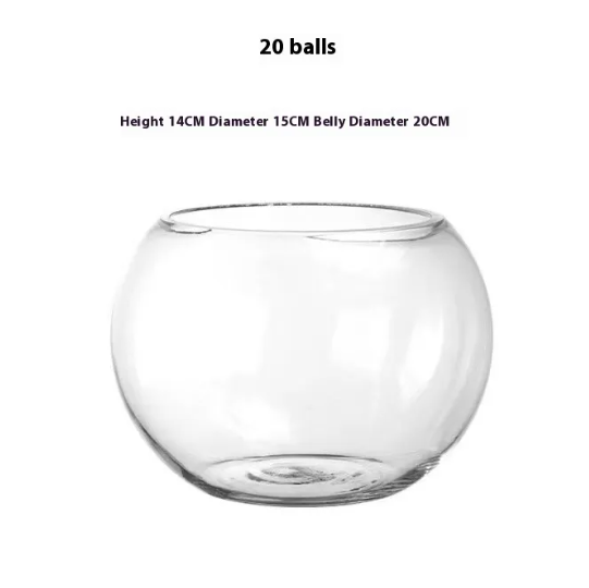 Transparent Hydroponic Vase