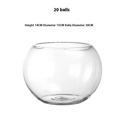 Transparent Hydroponic Vase