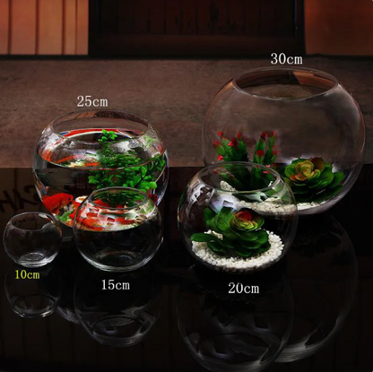 Transparent Hydroponic Vase