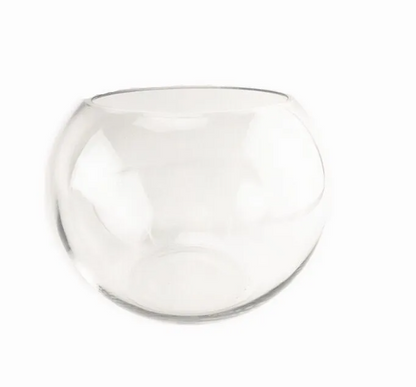 Transparent Hydroponic Vase