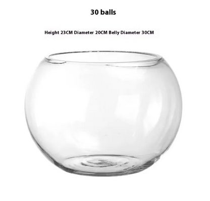 Transparent Hydroponic Vase