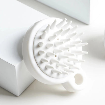 Hair Brush with Scalp Massage for Curly Hair Care