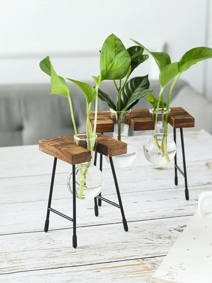 Transparent Glass Vase for Hydroponic Planting (1pc)