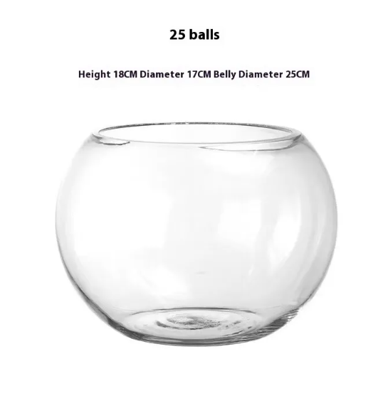 Transparent Hydroponic Vase