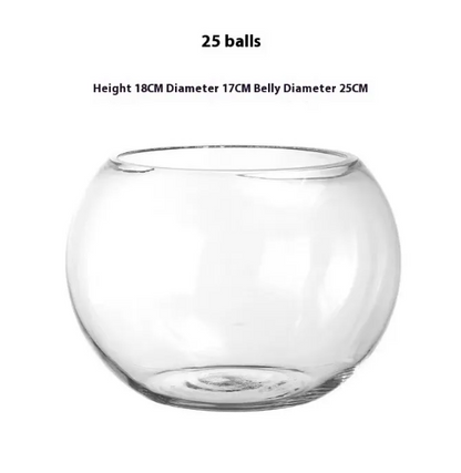 Transparent Hydroponic Vase