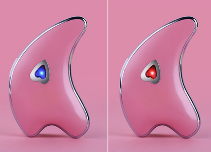 Electric Dolphin Gua Sha Beauty Device for Facial Massage