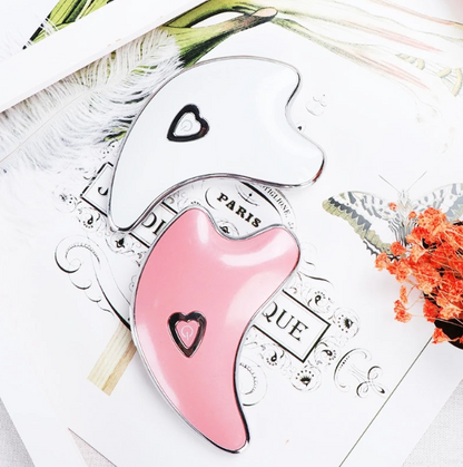 Electric Dolphin Gua Sha Beauty Device for Facial Massage