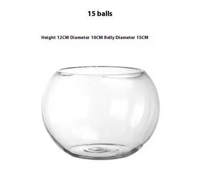 Transparent Hydroponic Vase