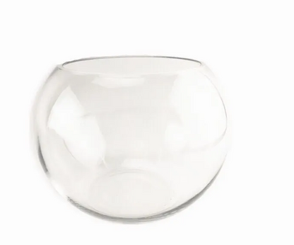 Transparent Hydroponic Vase