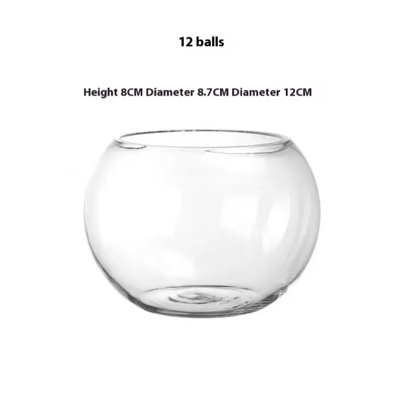 Transparent Hydroponic Vase